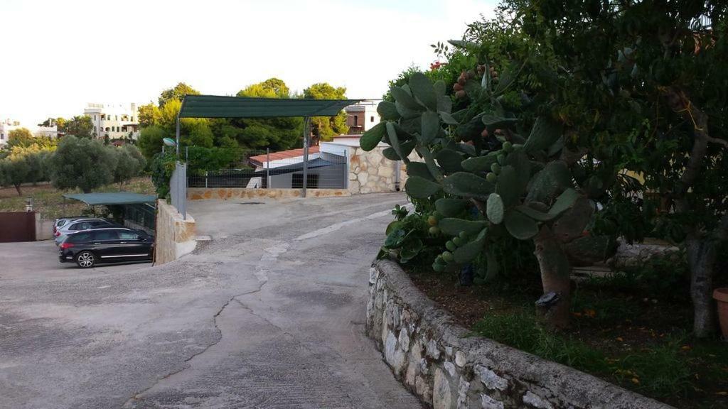 Villa Natura Sea View Vieste Zewnętrze zdjęcie